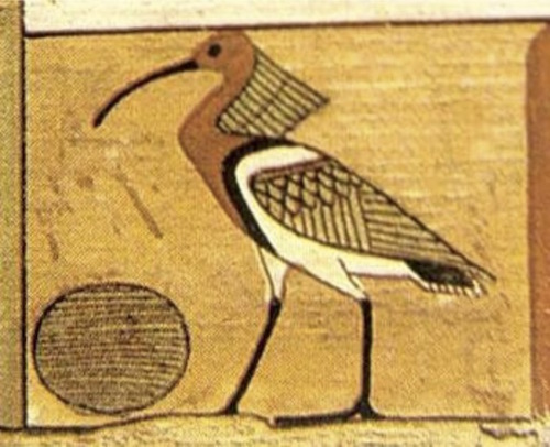 El corazón en el Antiguo Egipto: acerca de ibis y escarabajos