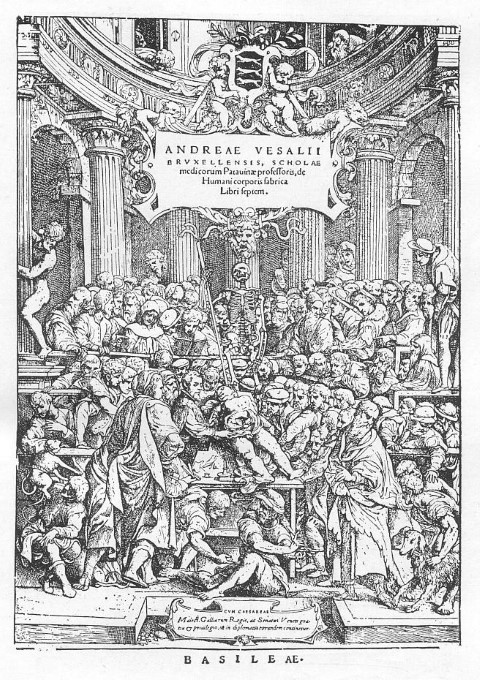 El siglo XVI y la revolución de la anatomía