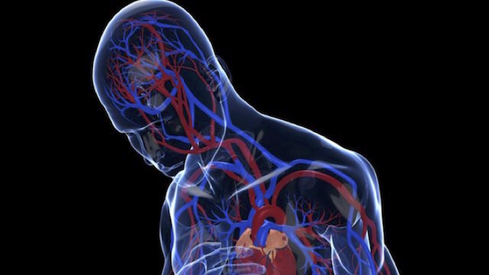 Depresión: duplica el riesgo de muerte cardiovascular a largo plazo