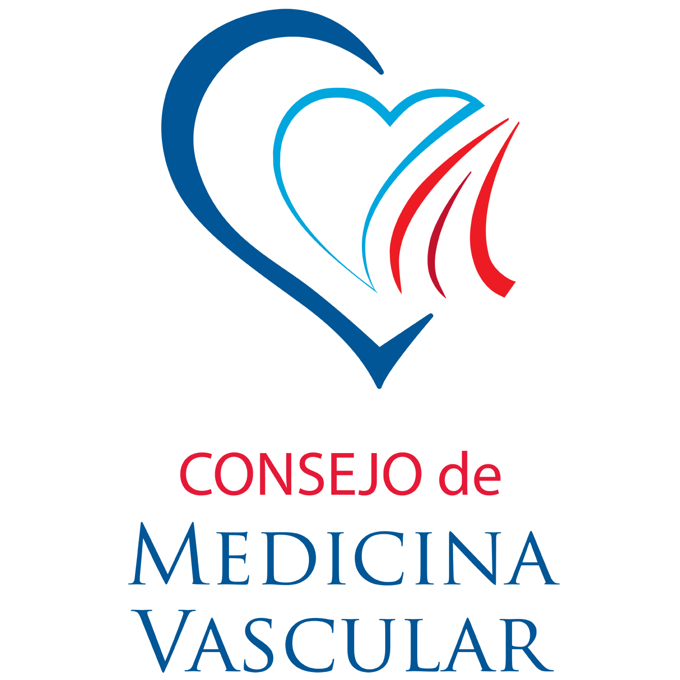 Nuevo Consejo de Medicina Vascular