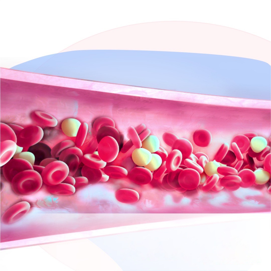 Nuevos Anticoagulantes.