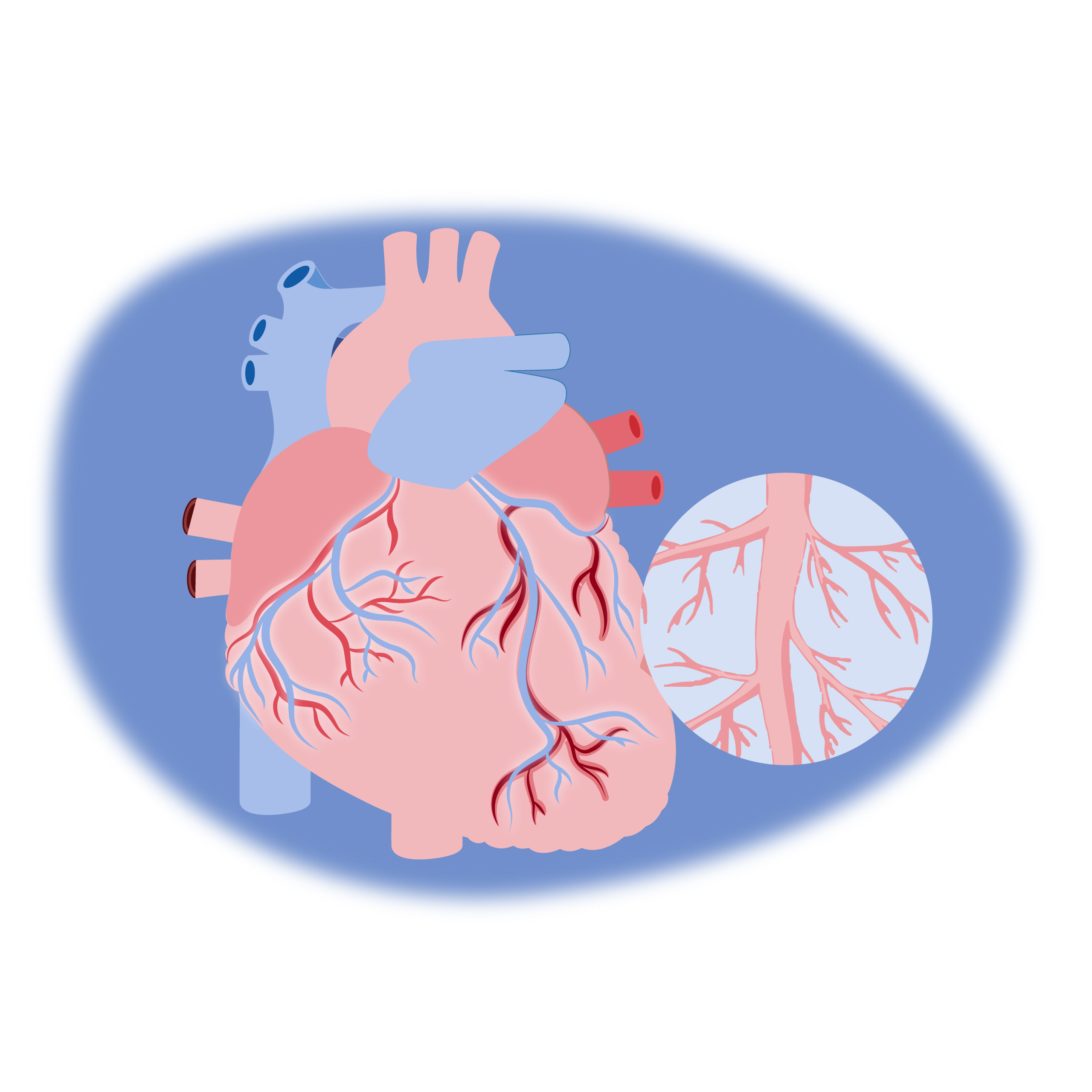 CURSO VIRTUAL DE  HIPERTENSIÓN SECUNDARIA