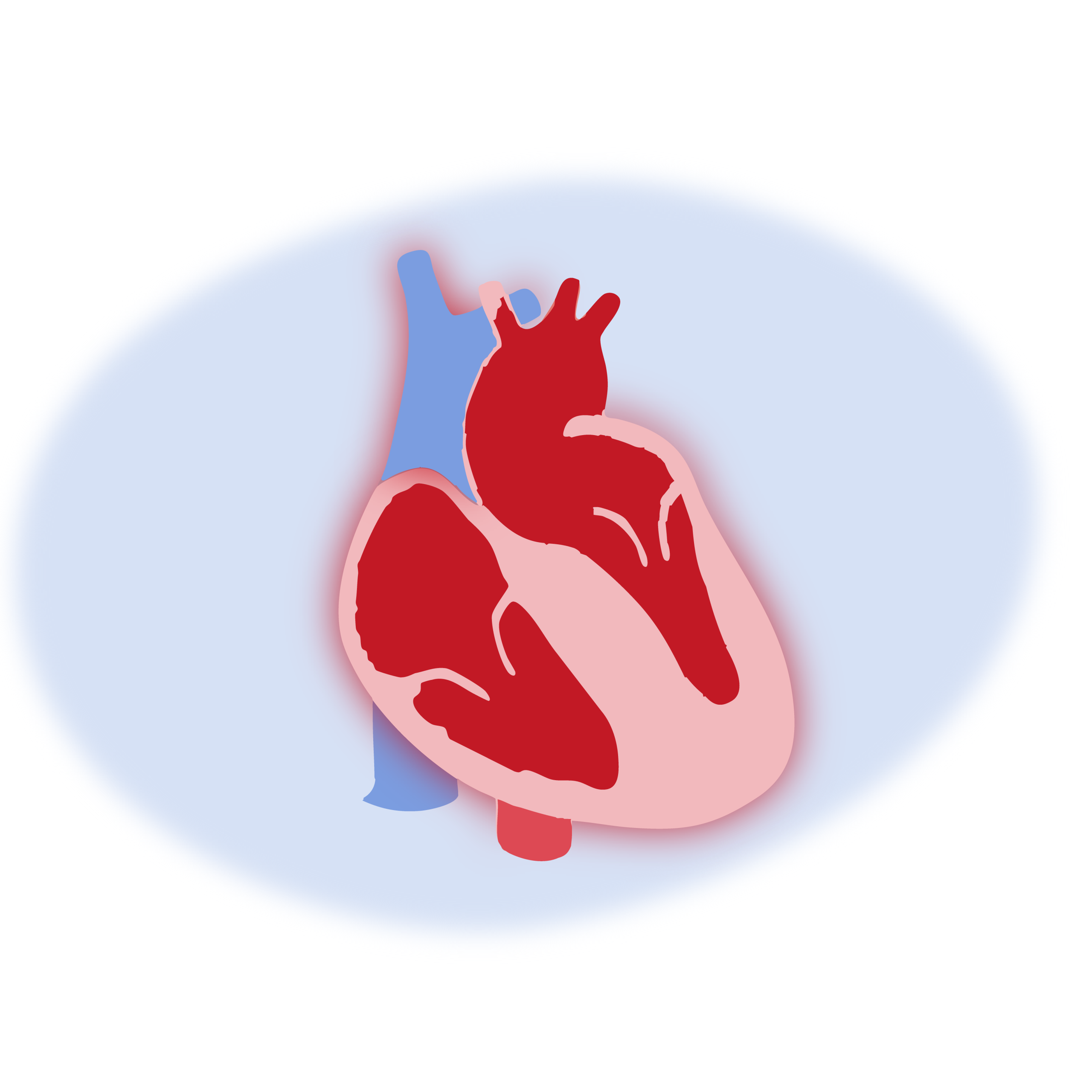 La mirada SAC sobre la Miocardiopatía Hipertrófica – Bristol Myers Squibb