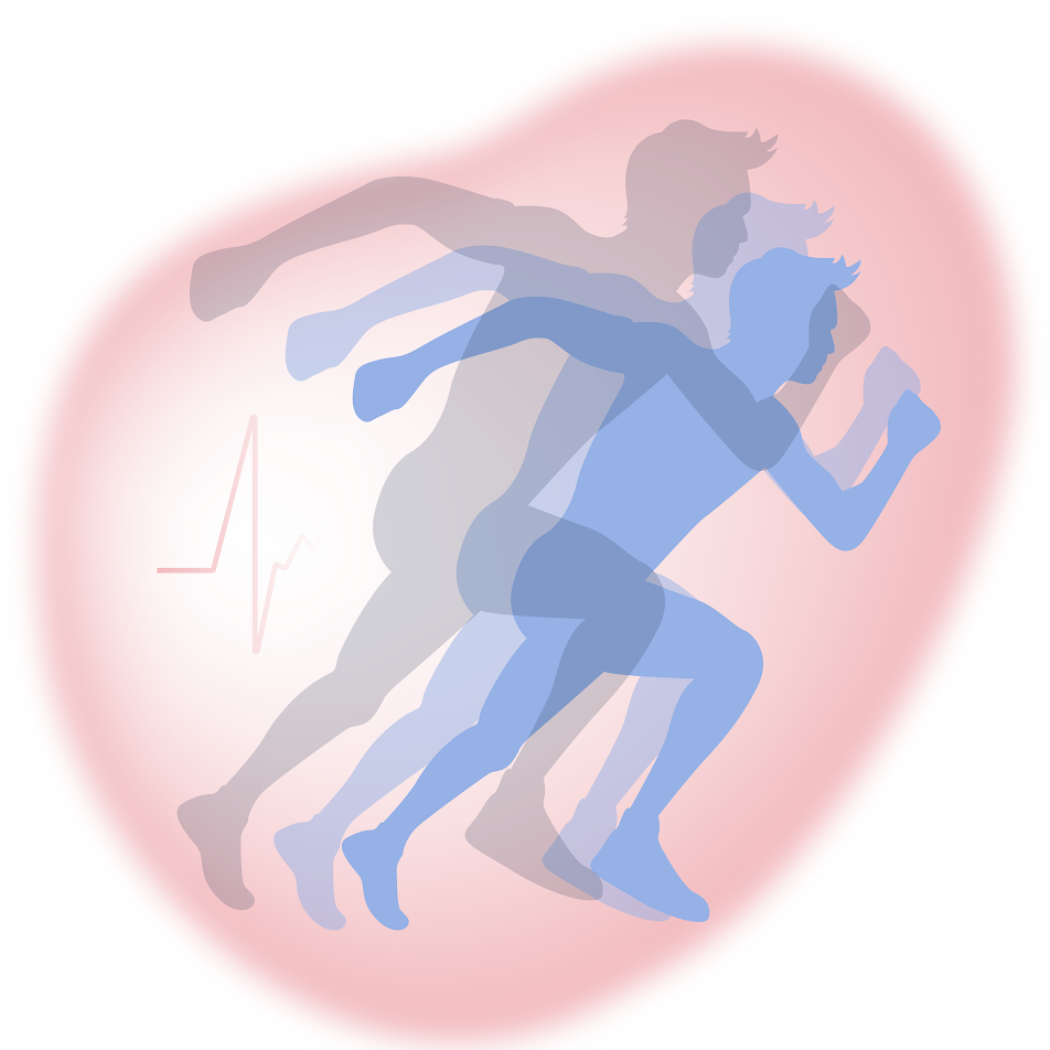 Programa de Rehabilitación Cardiovascular