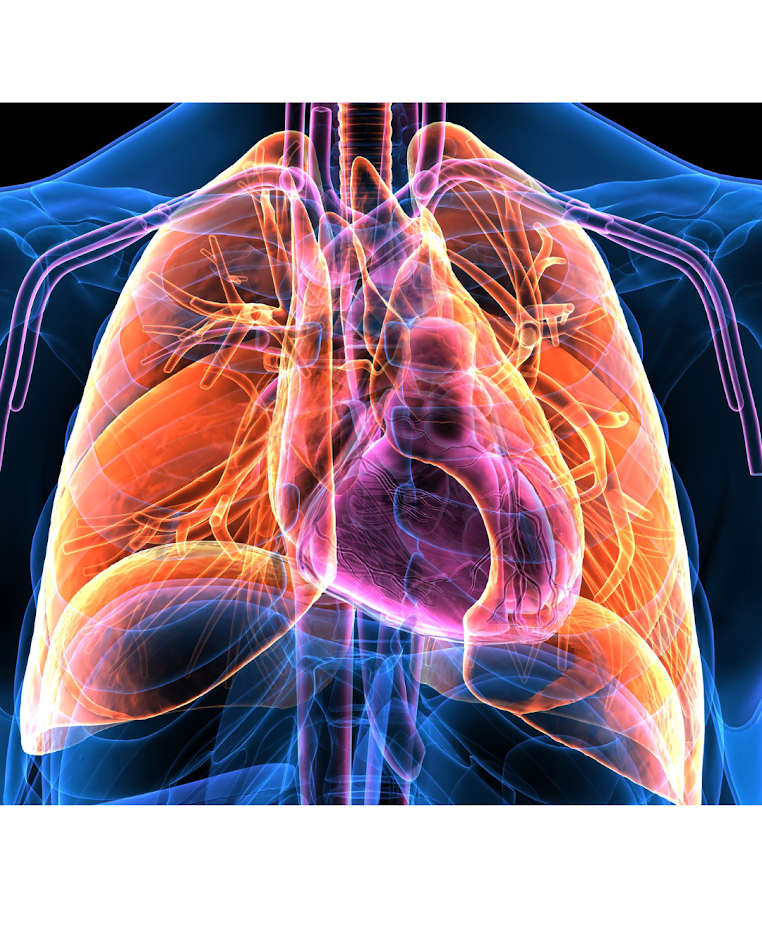 Registro de miocardiopatía hipertrófica en centros no especializados: resultados finales