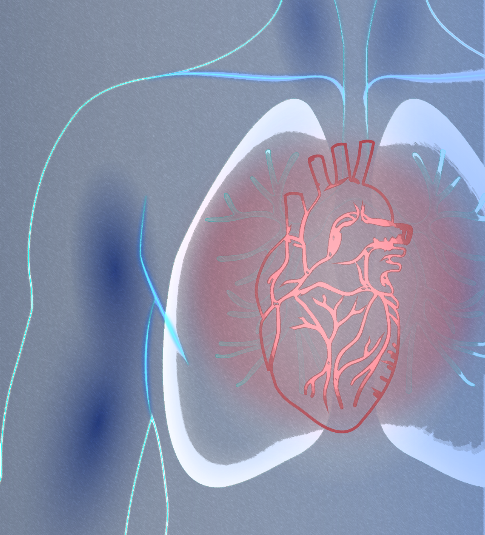 Curso Virtual de Actualización en cardiopatías congénitas del adulto